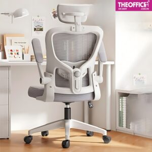 Ghế Công Thái Học Khung Nhựa PP Mẫu Mới Đẹp Mắt TO-GC28