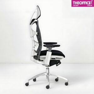 Ghế Công Thái Học Văn Phòng Raina Thoáng Khí Êm Ái TO-GC14