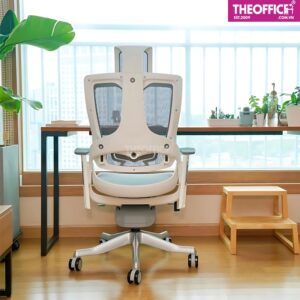 Ghế Công Thái Học WONDER II Chắc Chắn Bền Lâu TO-GC16